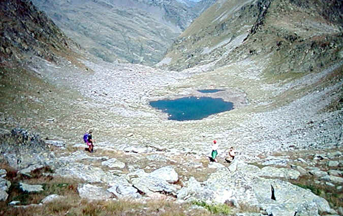 Bernol1