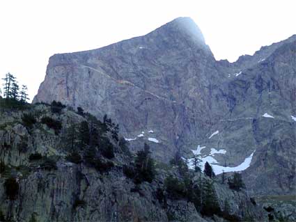 Cornostella-1