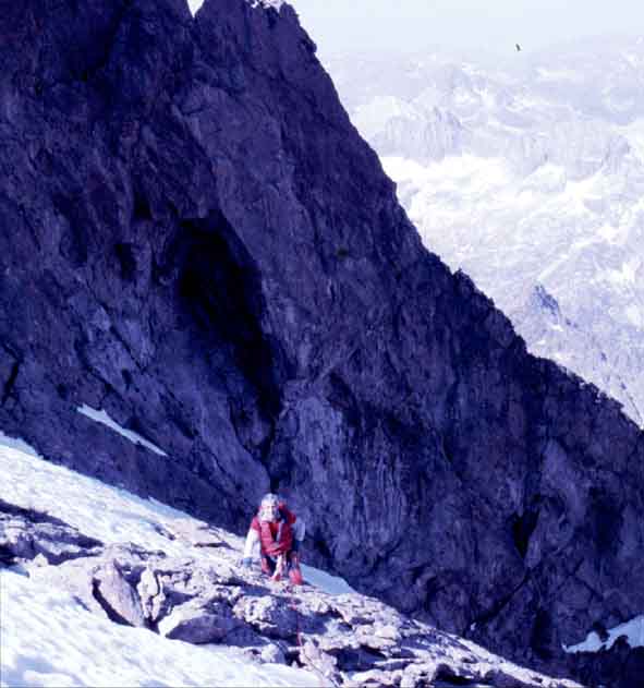 Forcella2