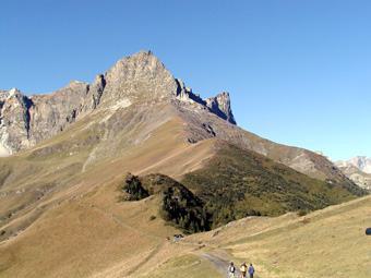PelvoElva