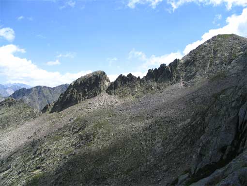 SanBernolfo-1