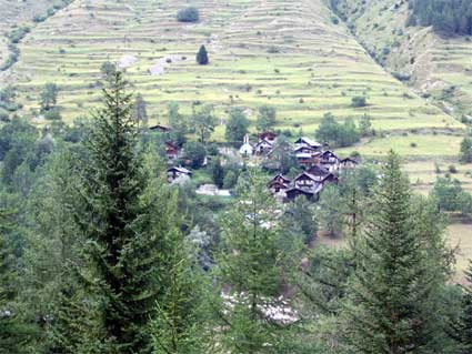 SanBernolfo-2
