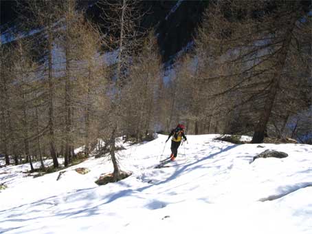 Staucolle-2