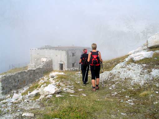 TestaBresses-1