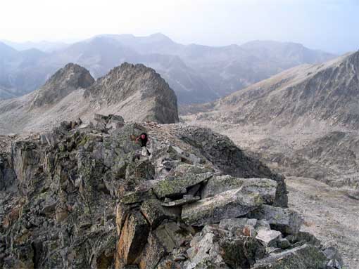 TestaBresses-2