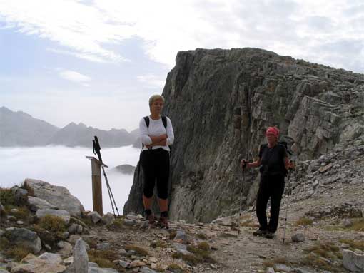 TestaBresses-3