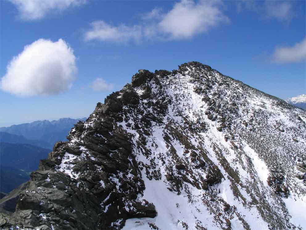 Tournalin-4