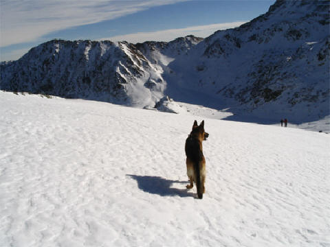 monte_11