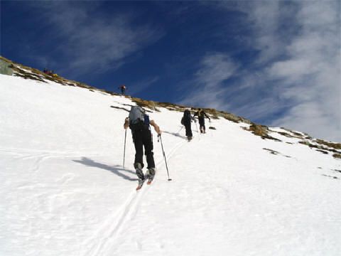 monte_8
