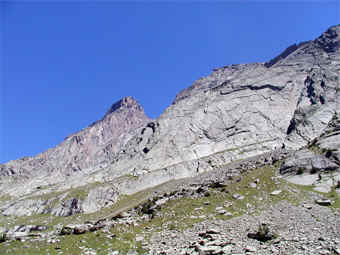 tour_d3