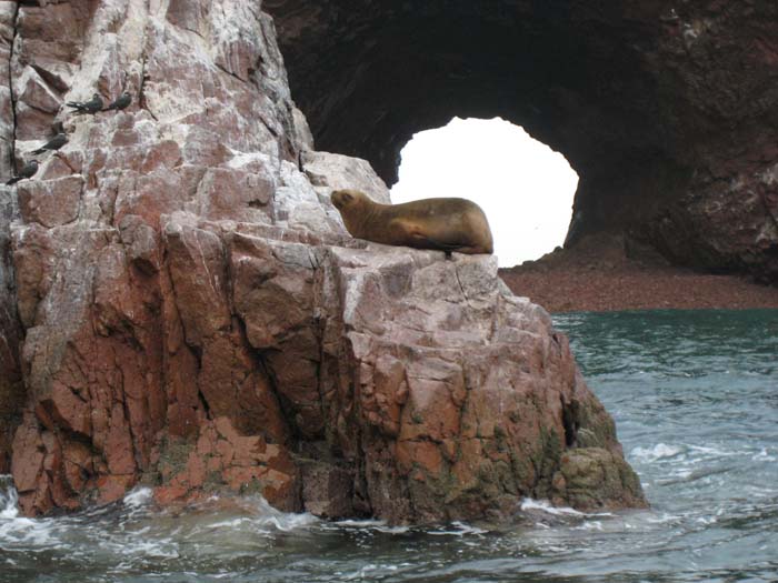 038_-_Isole_Ballestas