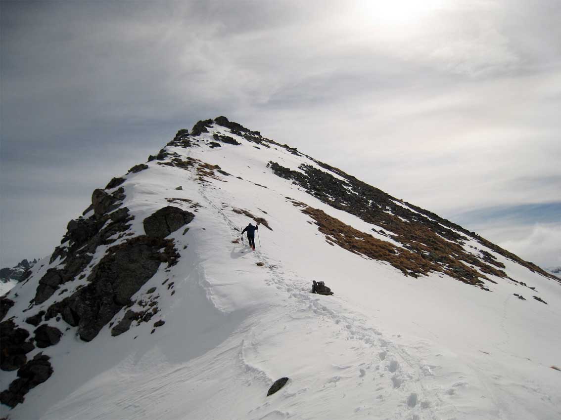 Falinere-3