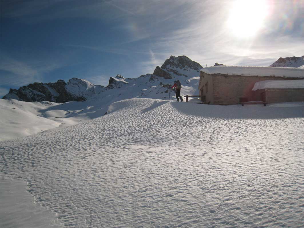 Marchisa-2