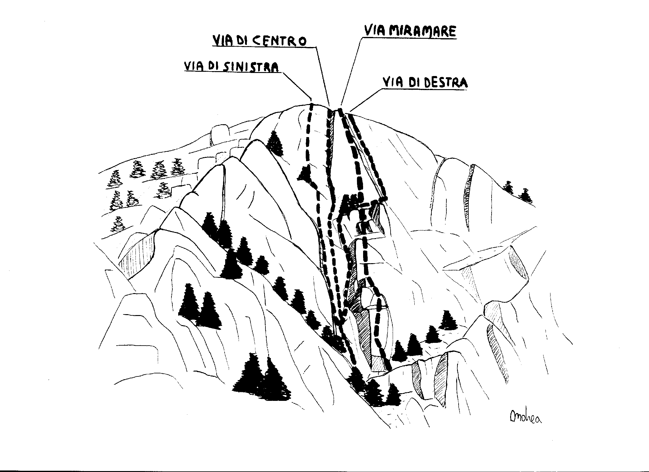 turchina