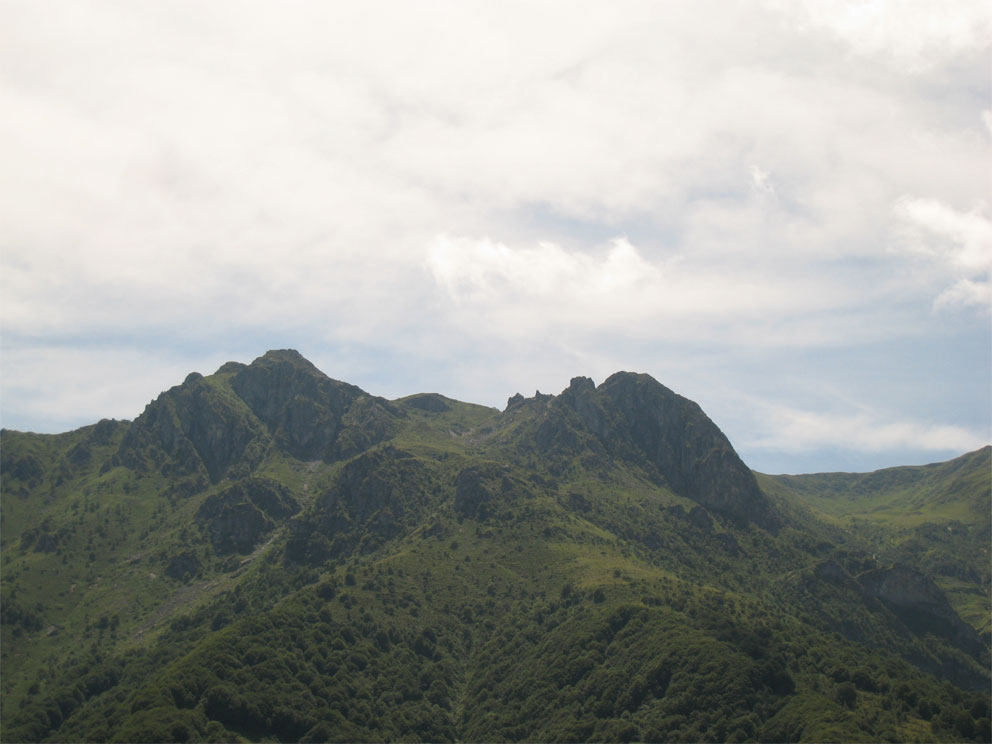 Pergo-1