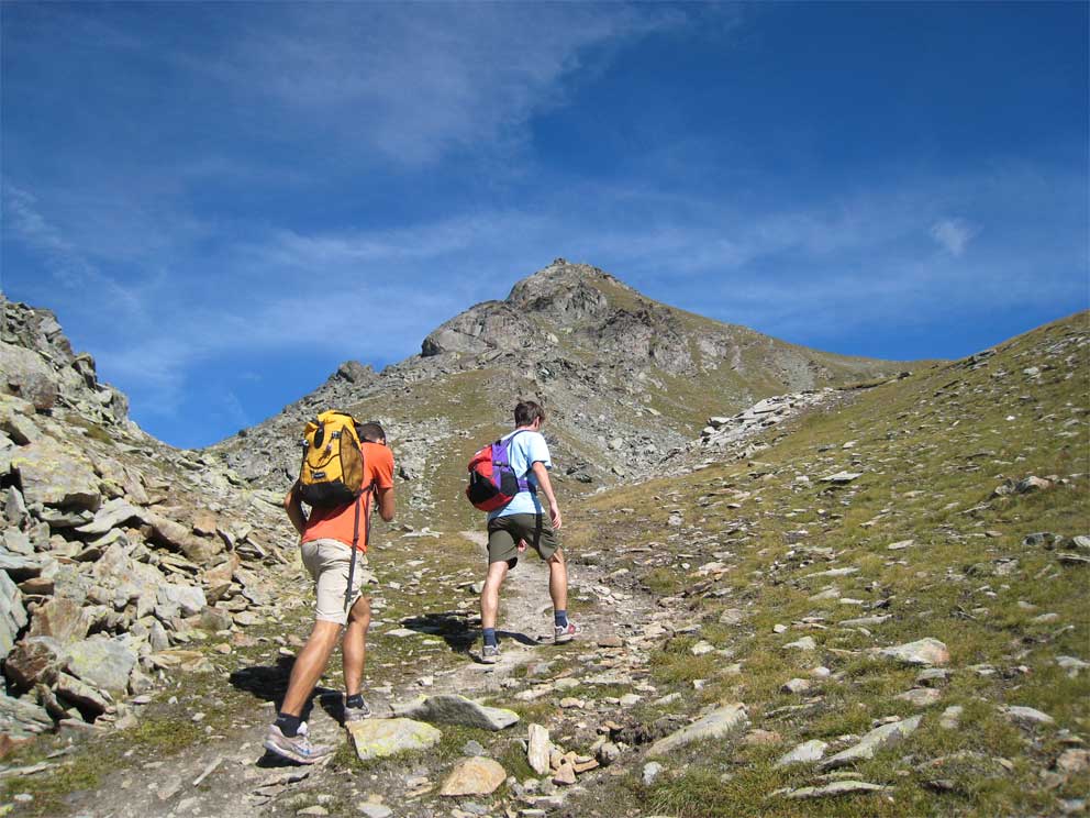 Btrecar-1