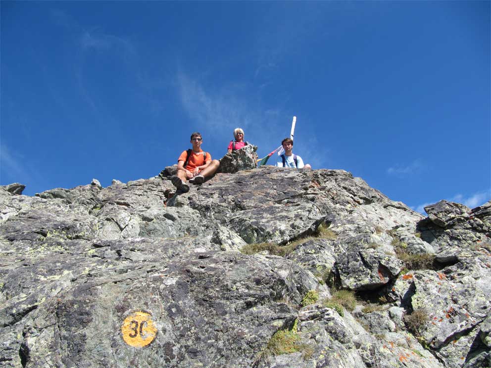 Btrecar-5