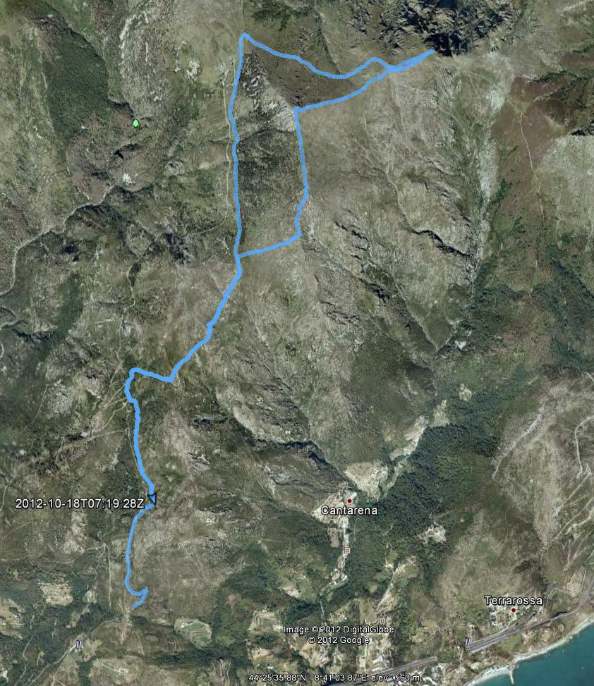 tardia mappa