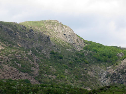 sciguello-1