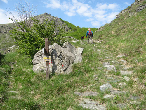 sciguello-3