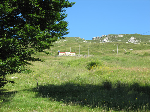 Antorotoestate-2