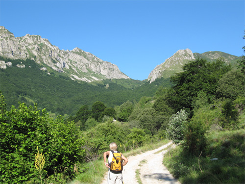 antorotoestate-1