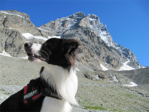 Cervinia-anello-6