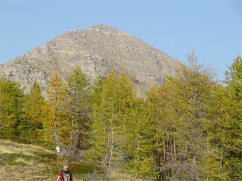 Bertrand-1