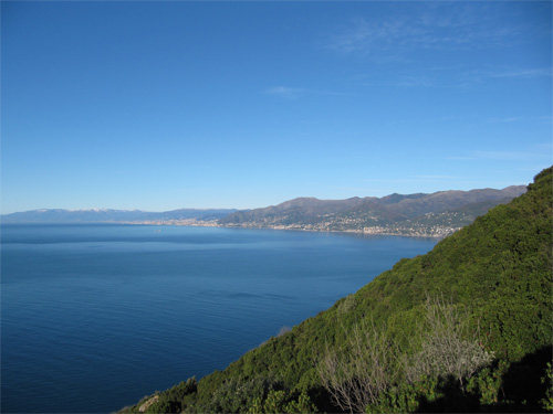 camogli-1