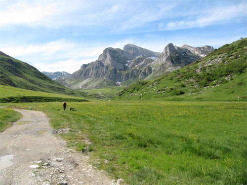 Serpentera-2