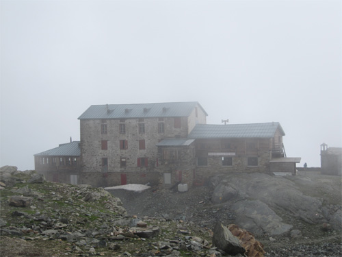 Camoscio-5