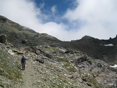 Camoscio-6