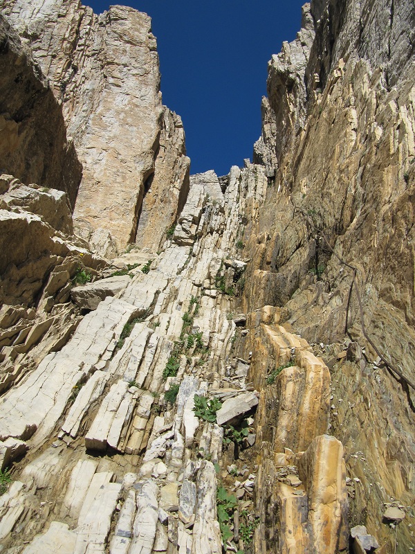 Meja6