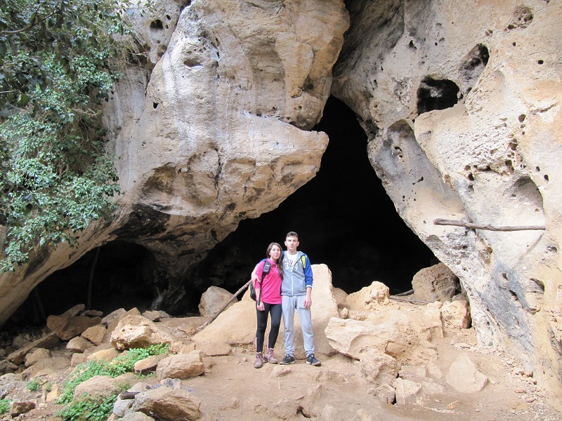 Edera1