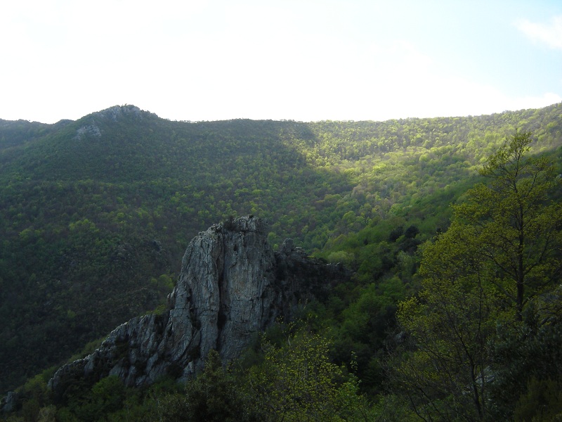 DSC07620 foto