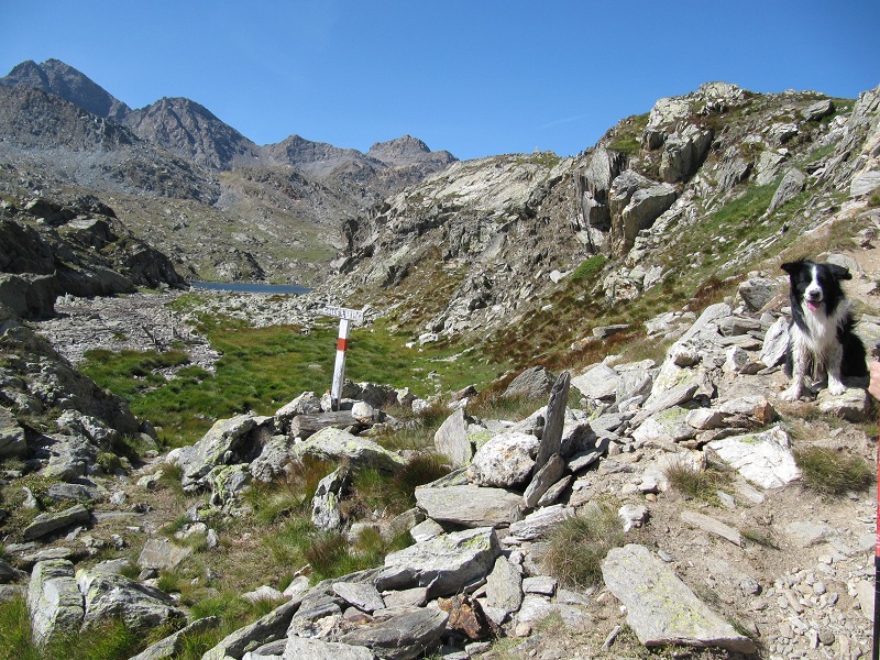 BivioColleLupo