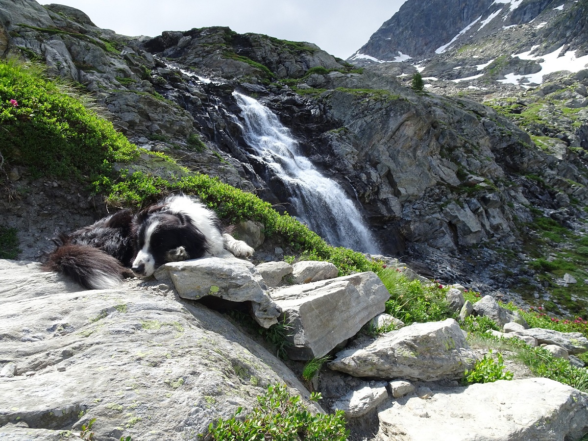 3Cascata
